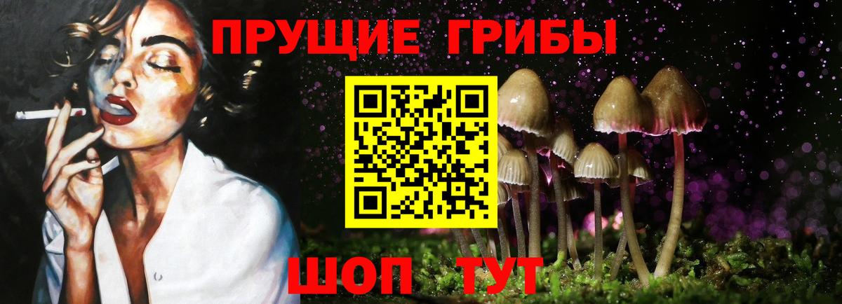 Кинель  цены   Вход с VPN  Галлюциногенные грибы ЛСД 